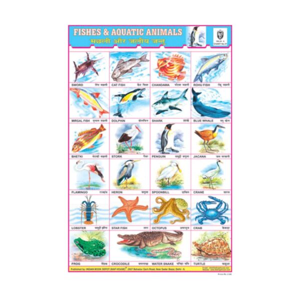Fishes & Aquatic Animals – Cut & Paste Educational Chart Paper
