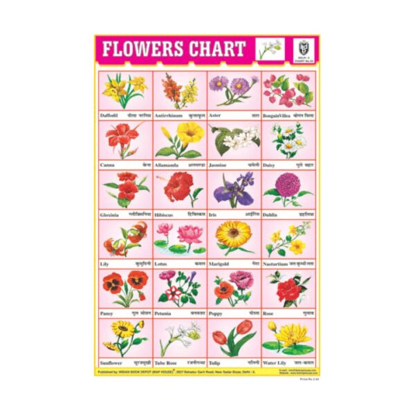 Flowers Chart 24 Photos  – Cut & Paste Educational Chart Paper
