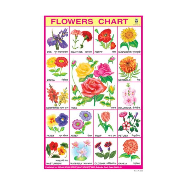 Flowers Chart Big – Cut & Paste Educational Chart Paper