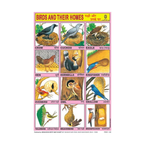 Birds & Their Homes – Cut & Paste Educational Chart Paper