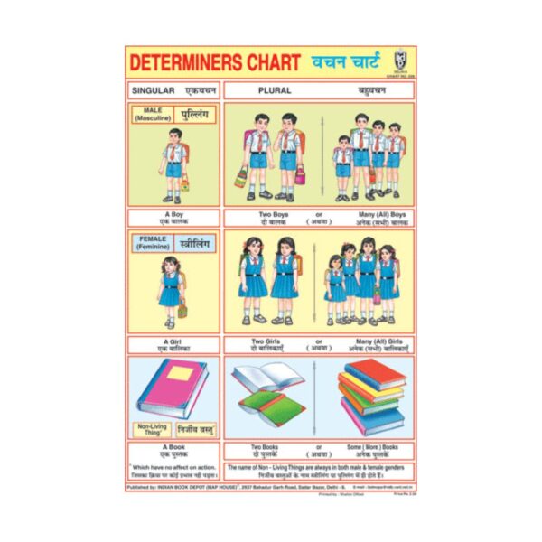 Determiners – Cut & Paste Educational Chart Paper