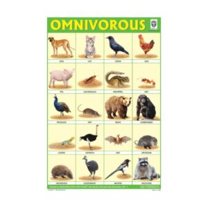 Omnivorous Animals – Cut & Paste Educational Chart Paper
