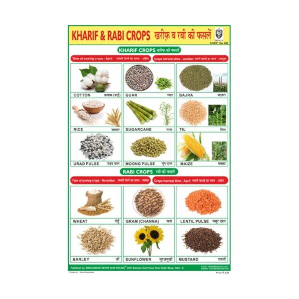 Kharif Crops – Cut & Paste Educational Chart Paper