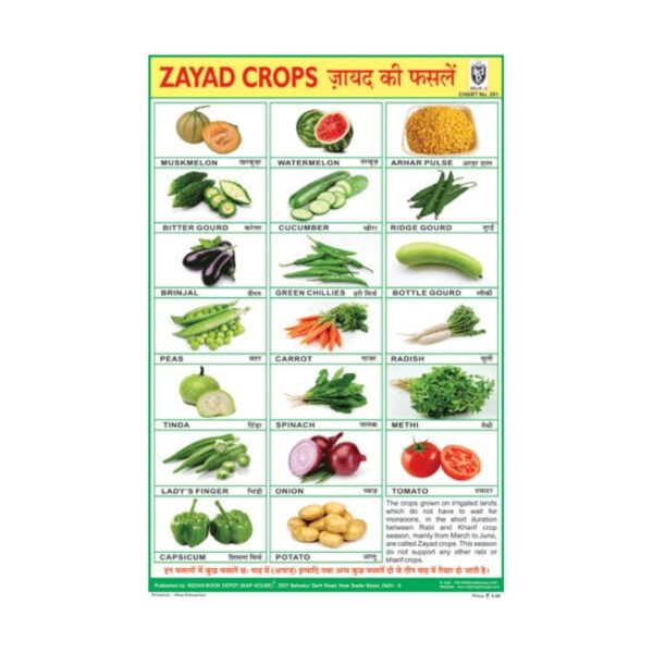 Zayad Crops – Cut & Paste Educational Chart Paper