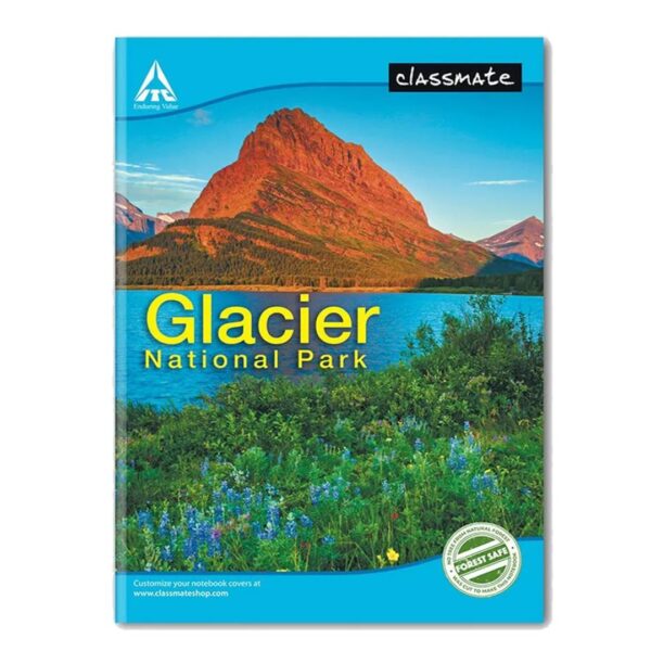 Classmate A4 Exercise Notebook - 240 Pages, Unruled
