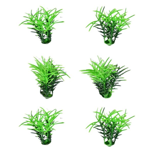 Project Grass – Pack of 6
